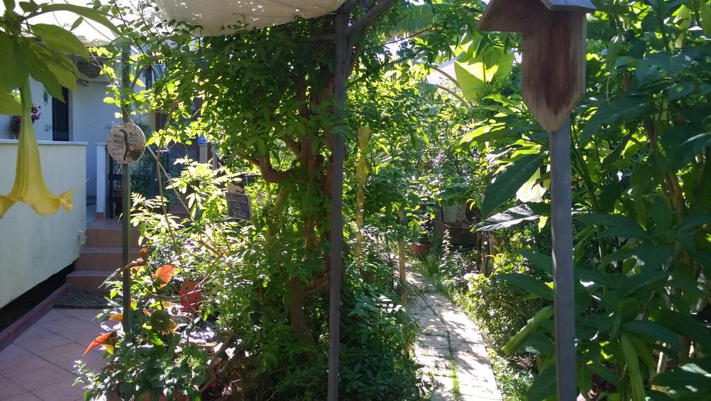 B&B Mare E Sole Brindisi Exteriör bild