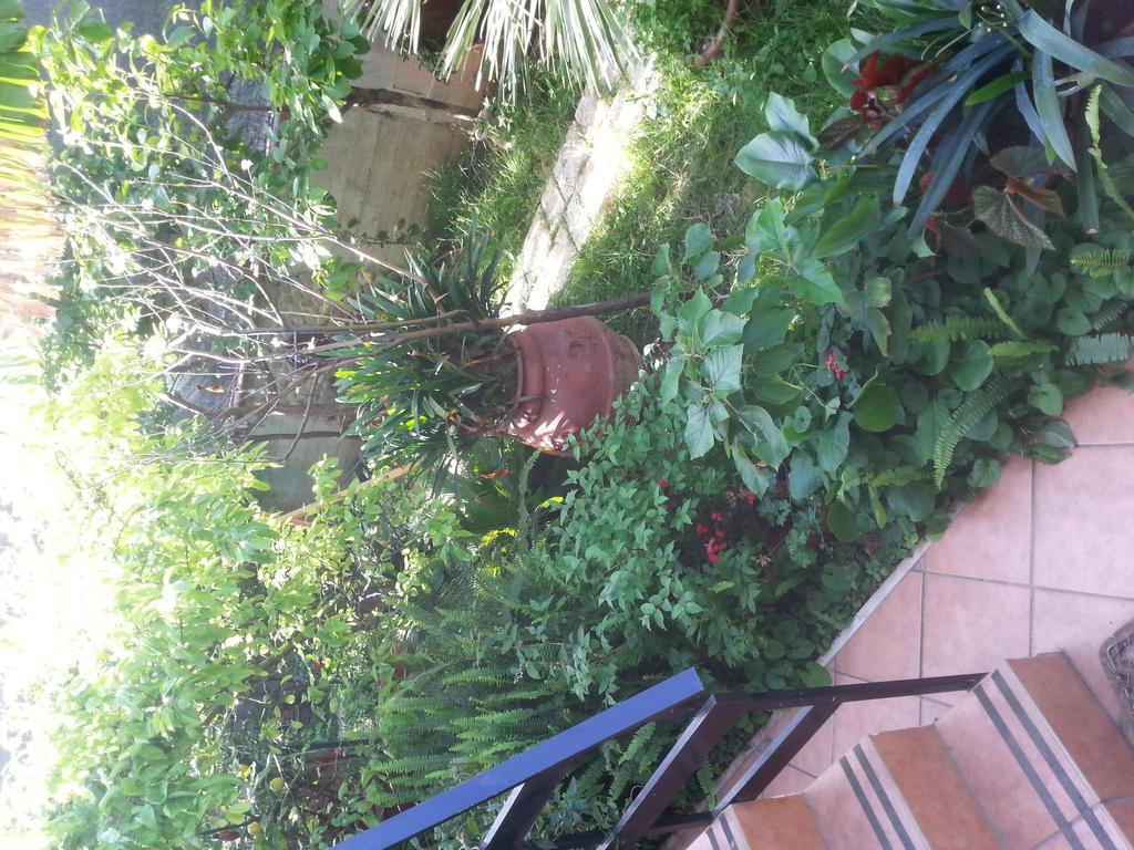 B&B Mare E Sole Brindisi Exteriör bild