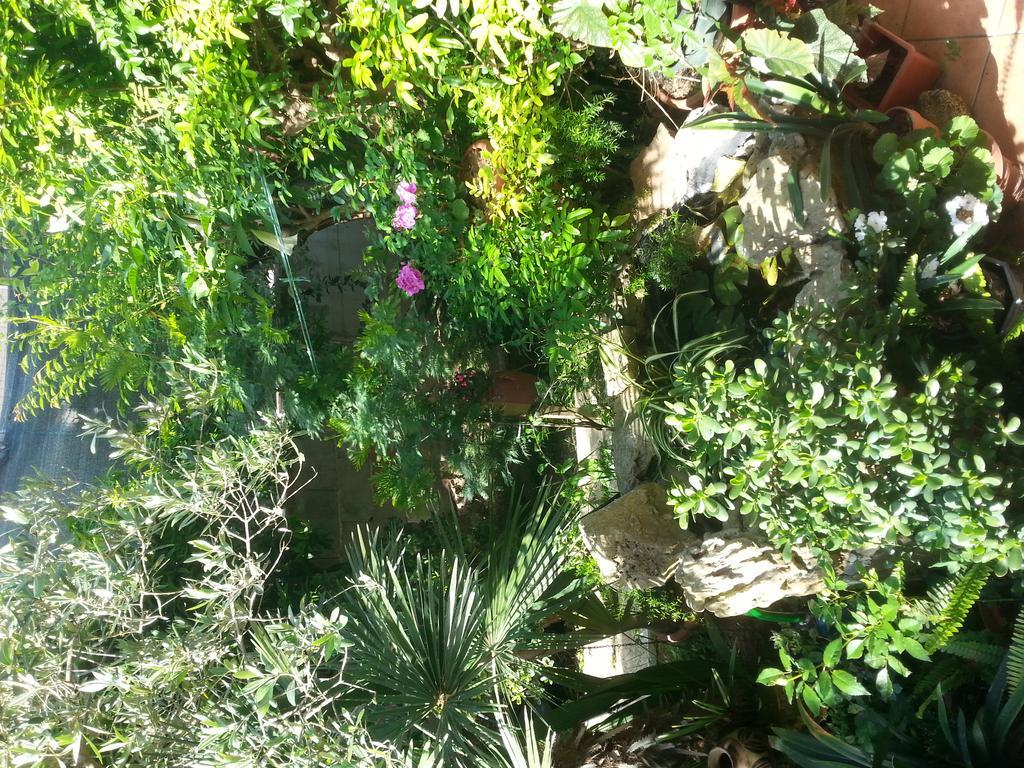 B&B Mare E Sole Brindisi Exteriör bild